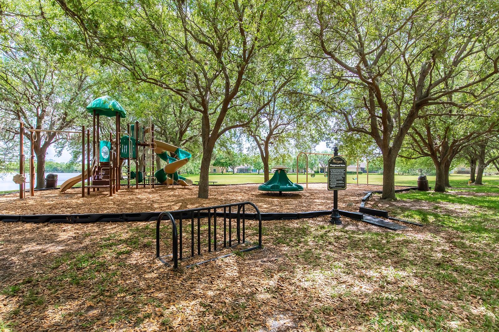 341 KIRKHILL ST, OCOEE, FL, 34761