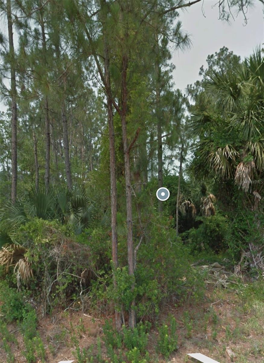 57 LLAMA TRL, PALM COAST, FL, 32164