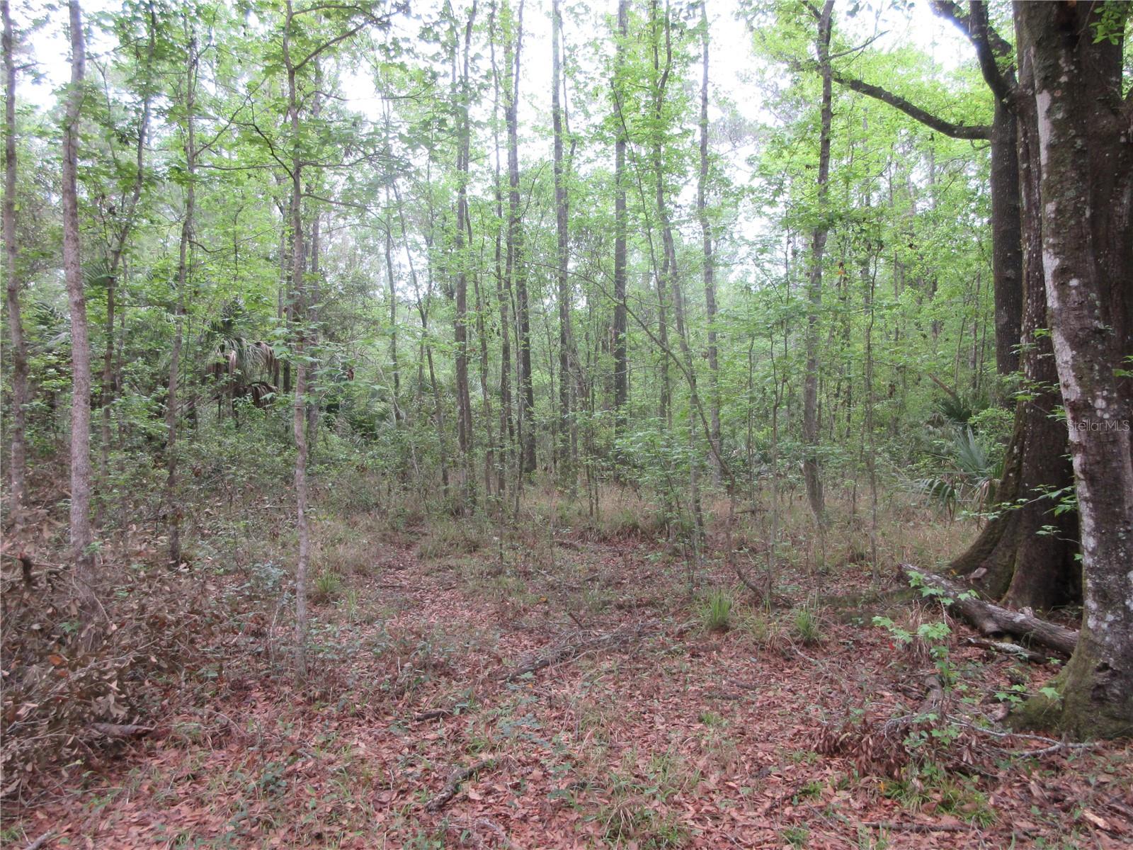 10055 E HIGHWAY 316, FORT MC COY, FL, 32134