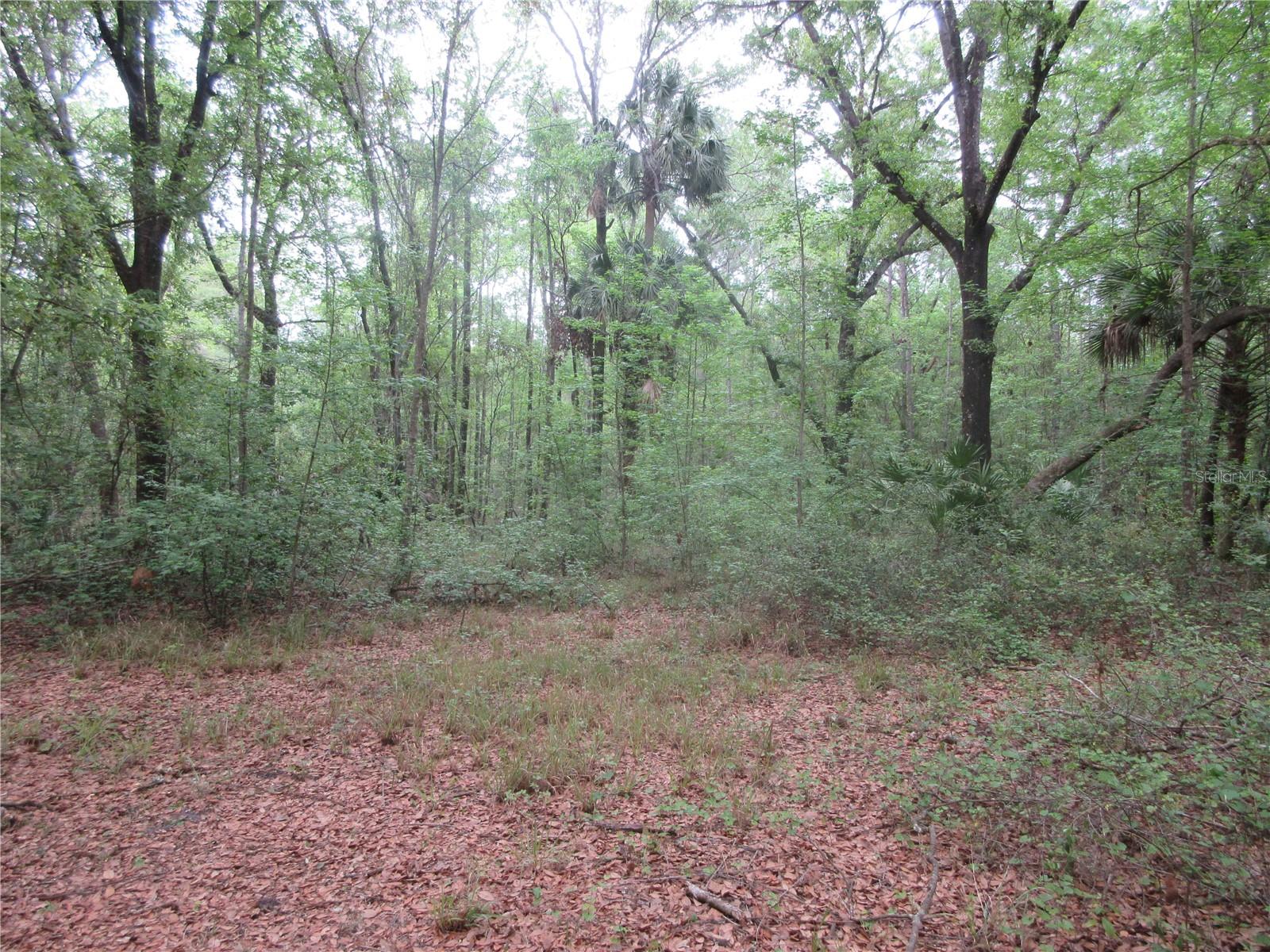 10055 E HIGHWAY 316, FORT MC COY, FL, 32134