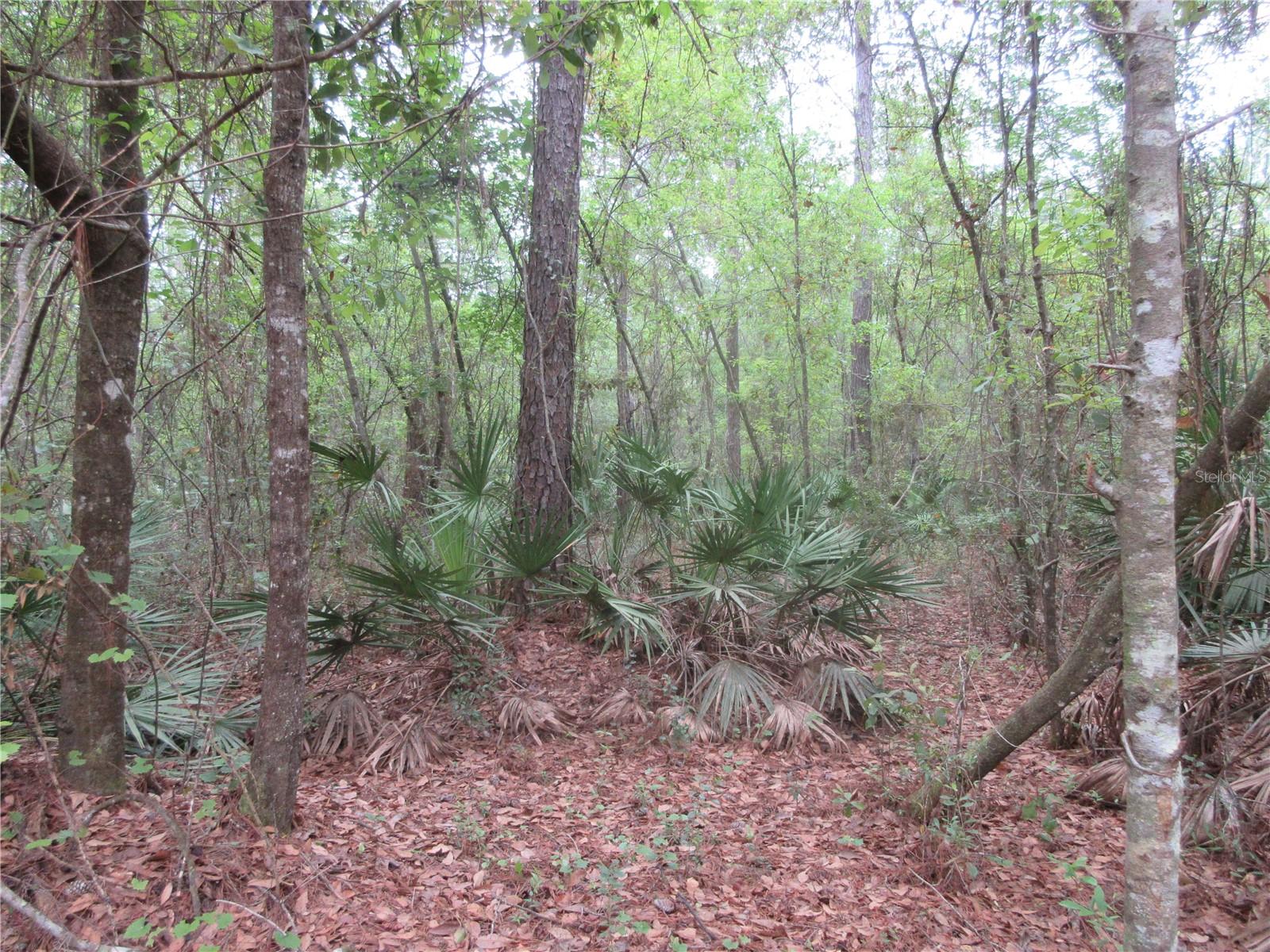 10055 E HIGHWAY 316, FORT MC COY, FL, 32134