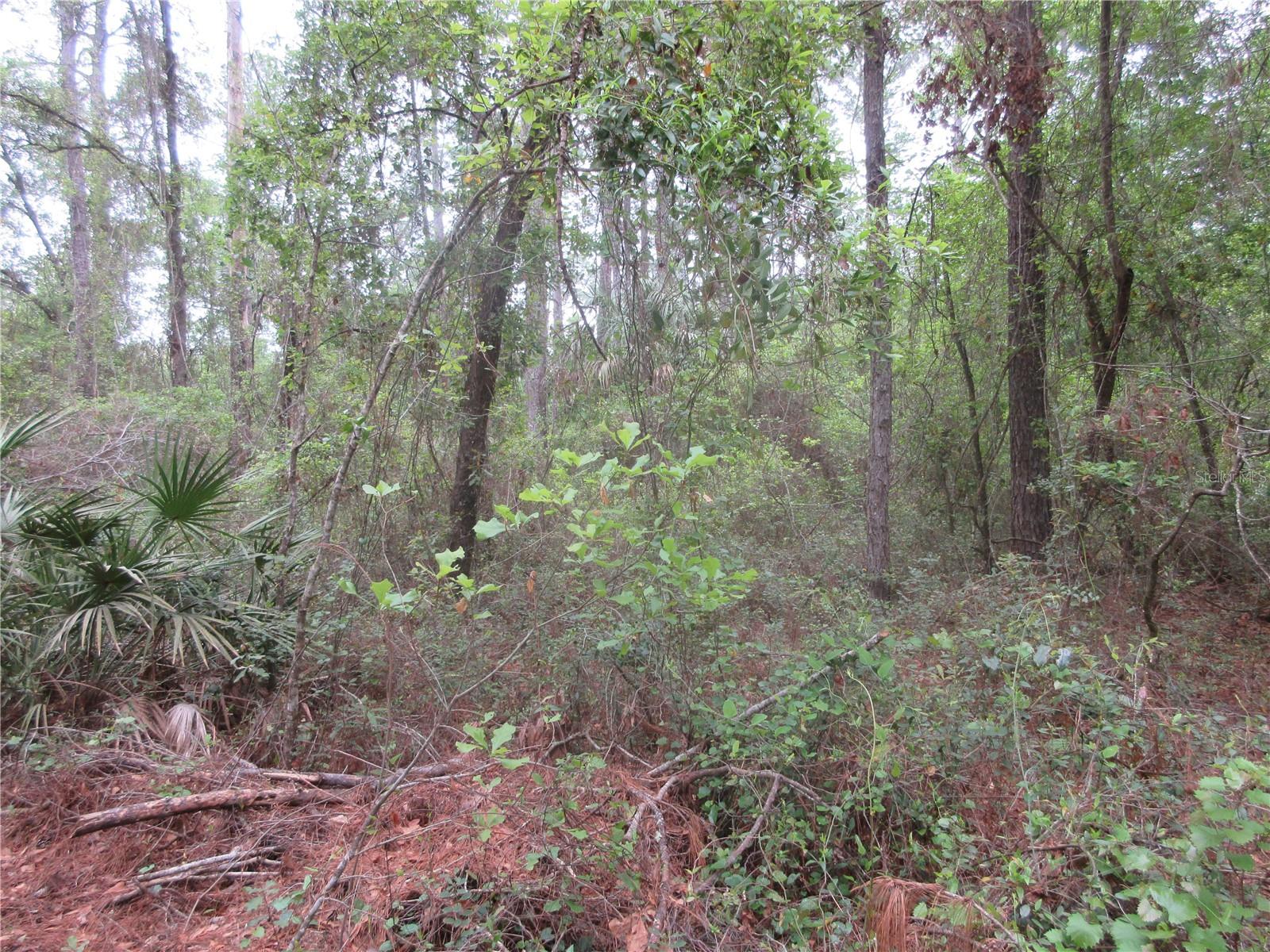 10055 E HIGHWAY 316, FORT MC COY, FL, 32134