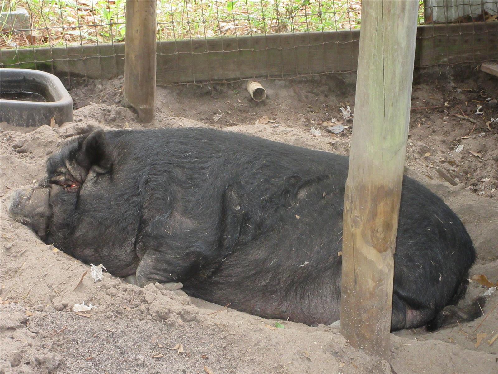 10055 E HIGHWAY 316, FORT MC COY, FL, 32134