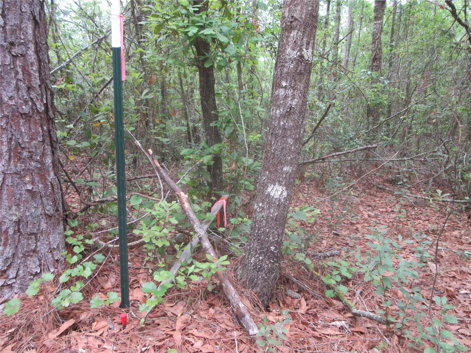 10055 E HIGHWAY 316, FORT MC COY, FL, 32134