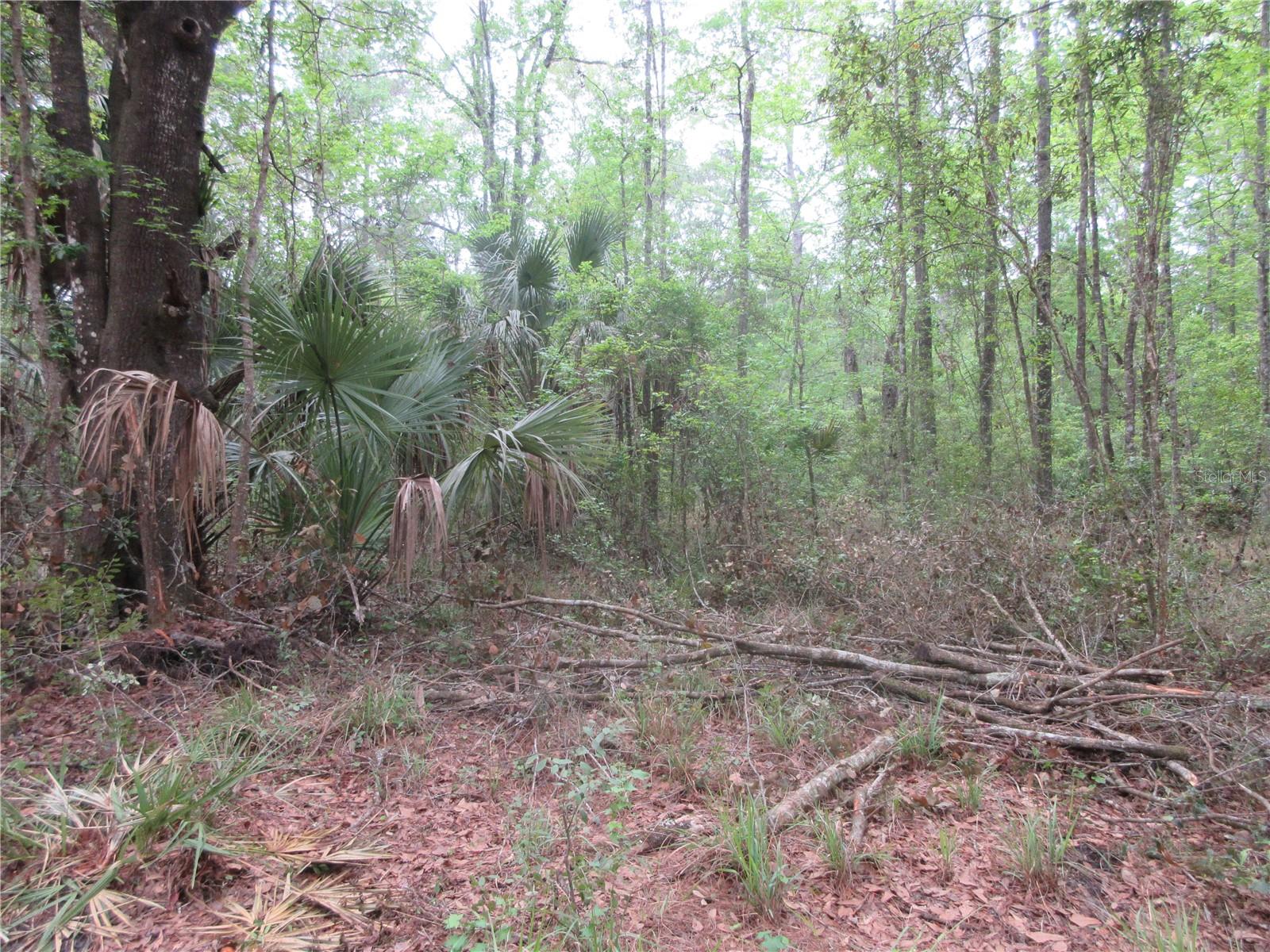 10055 E HIGHWAY 316, FORT MC COY, FL, 32134