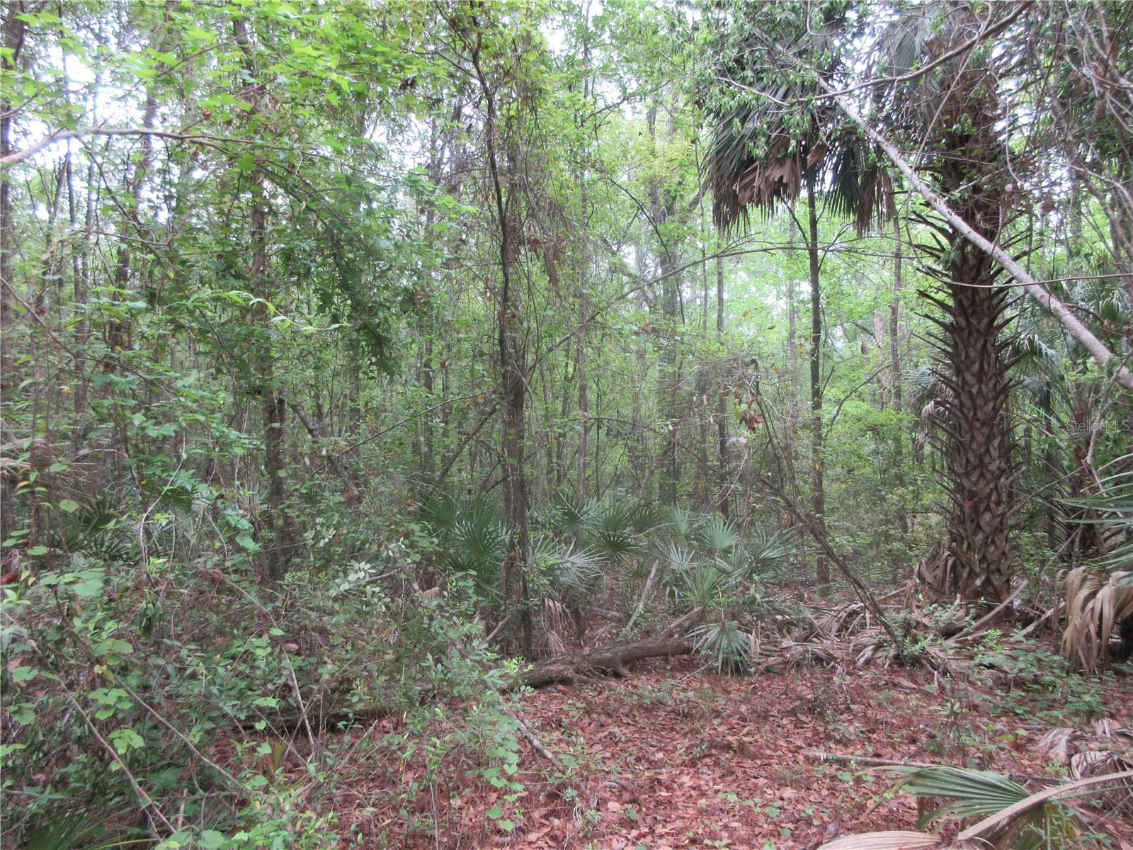 10055 E HIGHWAY 316, FORT MC COY, FL, 32134