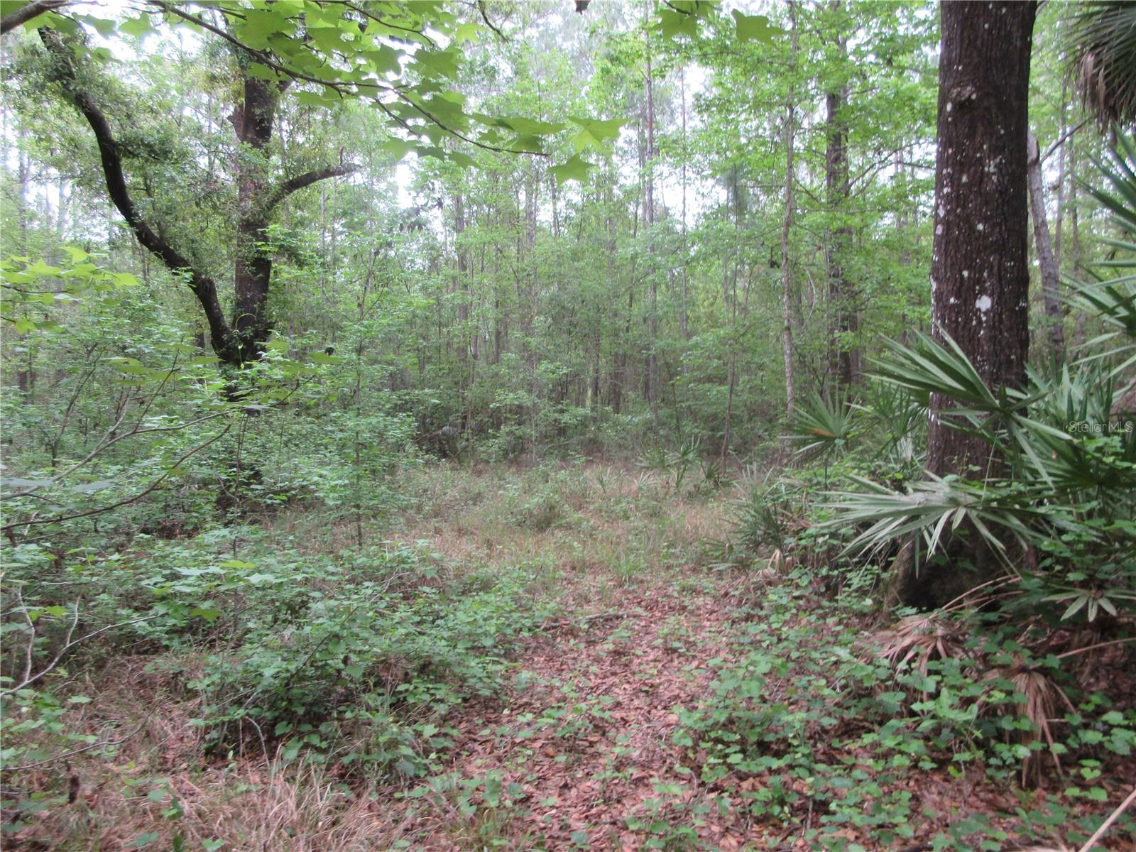 10055 E HIGHWAY 316, FORT MC COY, FL, 32134