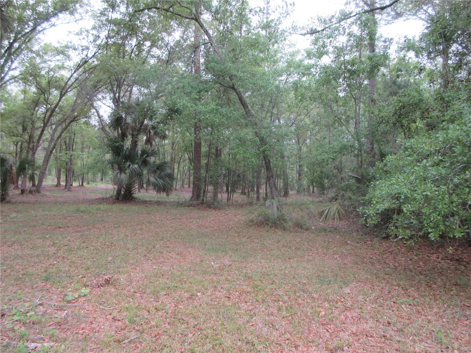 10055 E HIGHWAY 316, FORT MC COY, FL, 32134