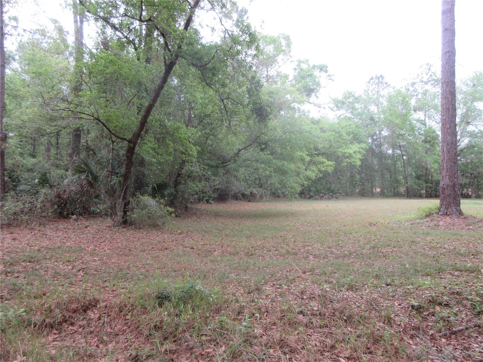 10055 E HIGHWAY 316, FORT MC COY, FL, 32134