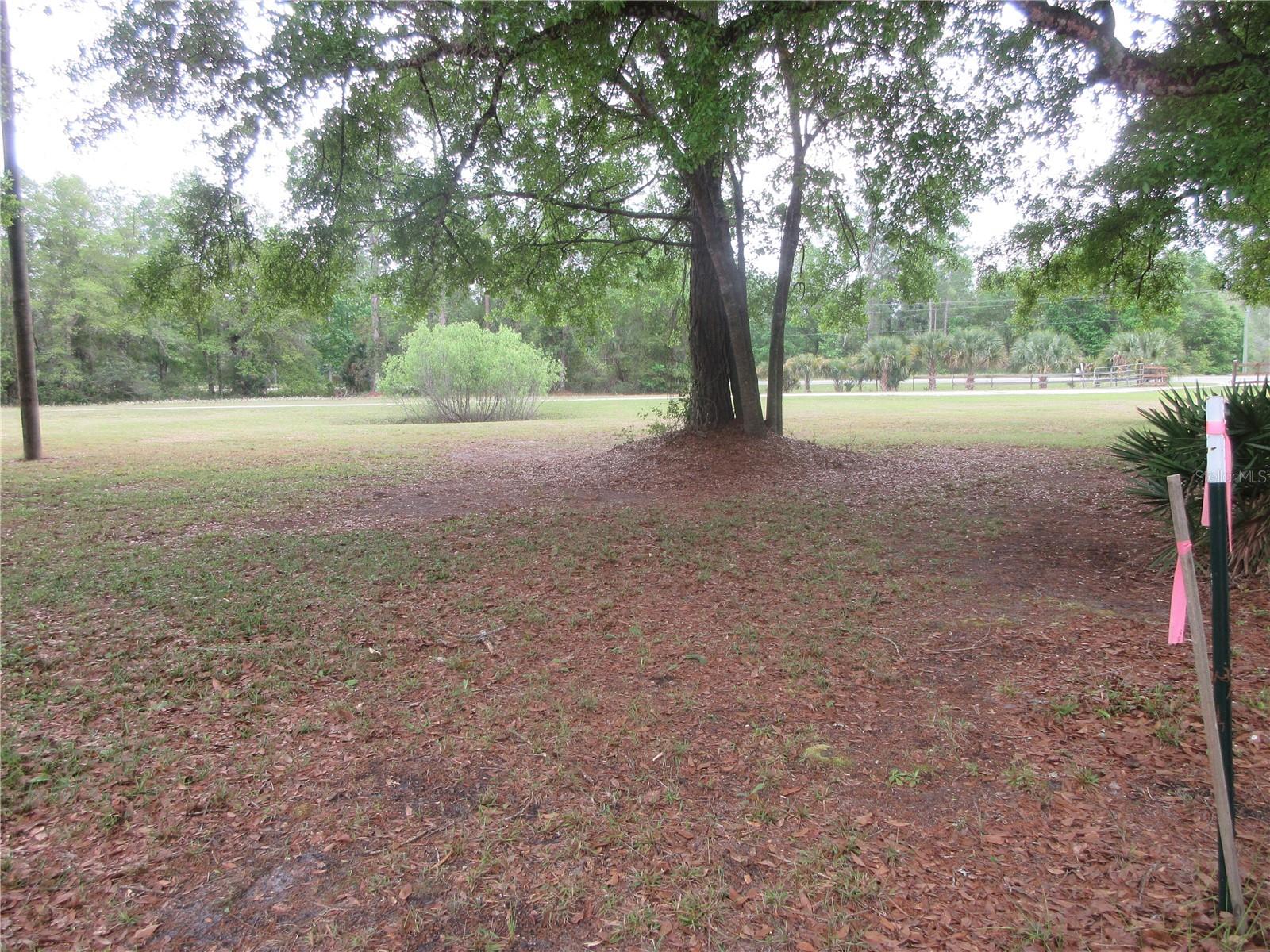10055 E HIGHWAY 316, FORT MC COY, FL, 32134