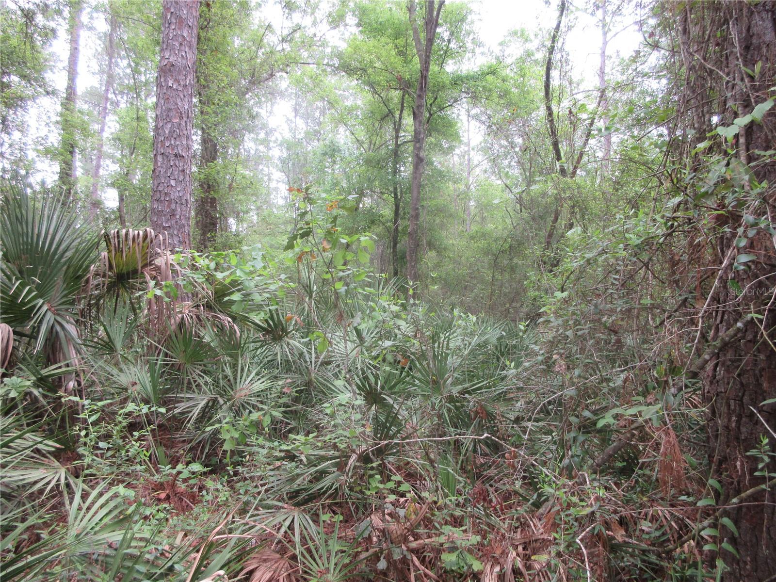 10055 E HIGHWAY 316, FORT MC COY, FL, 32134