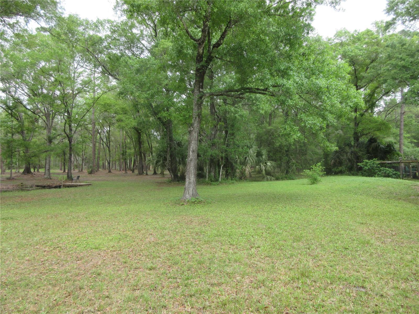 10055 E HIGHWAY 316, FORT MC COY, FL, 32134