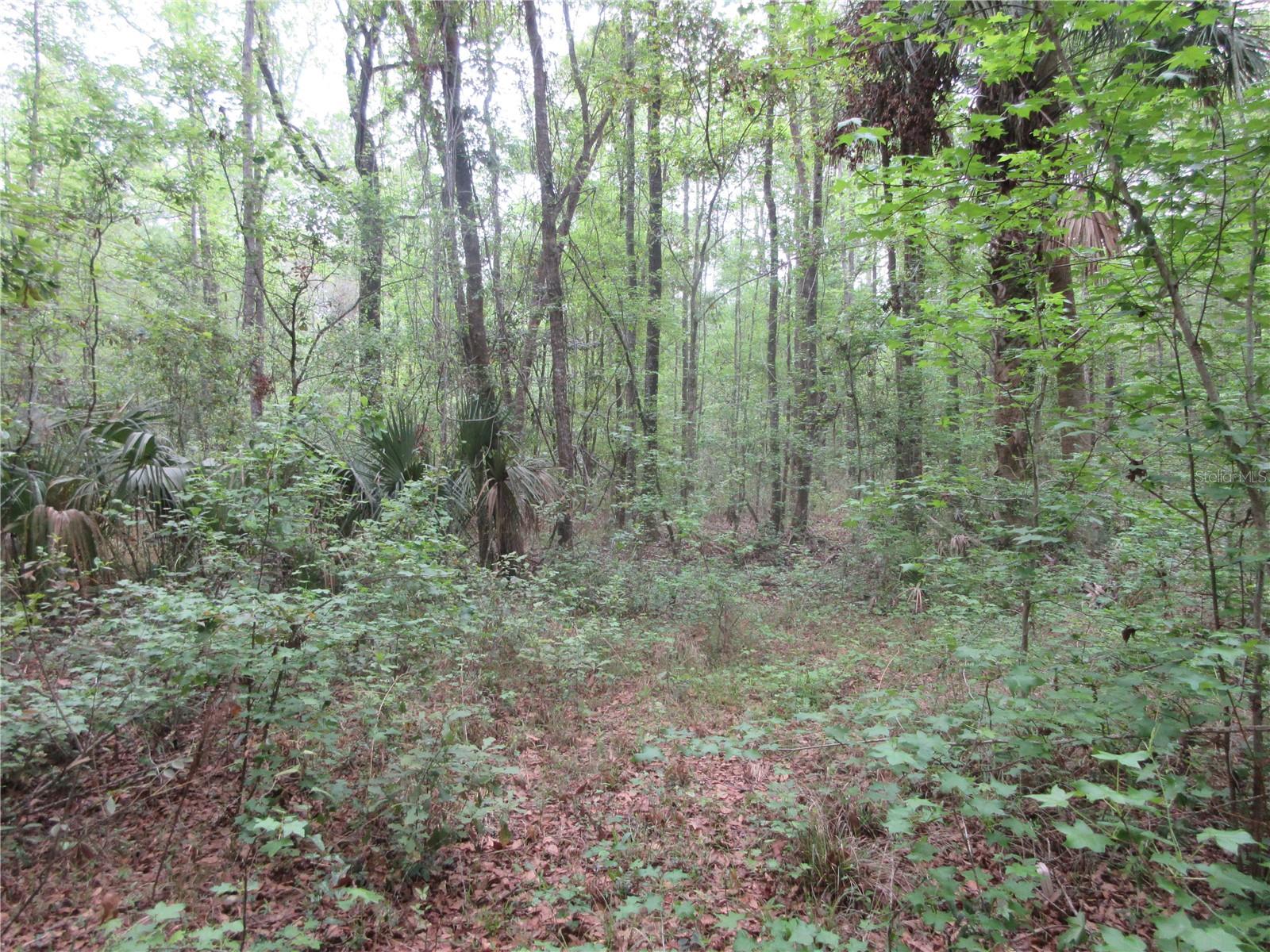 10055 E HIGHWAY 316, FORT MC COY, FL, 32134