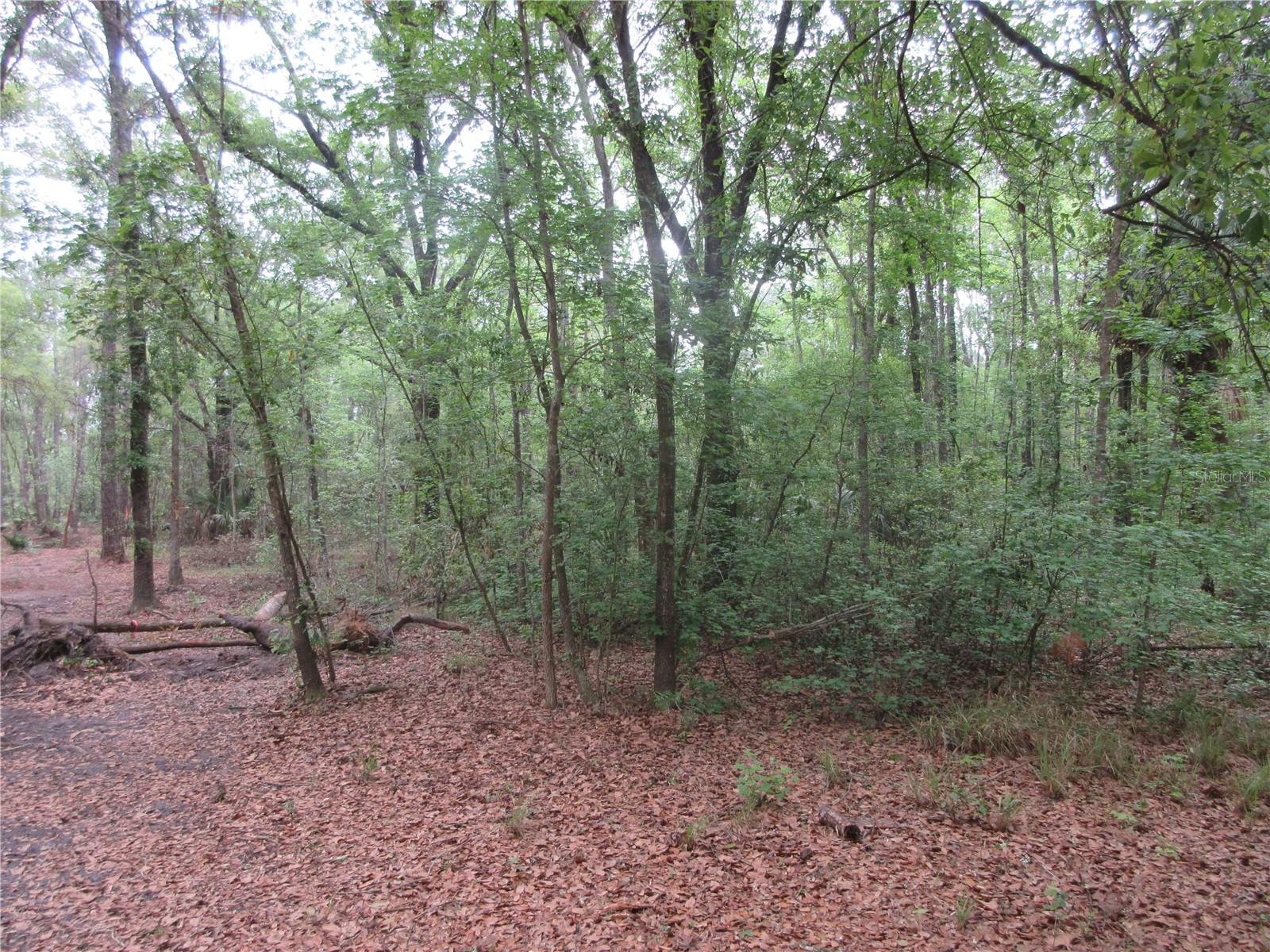 10055 E HIGHWAY 316, FORT MC COY, FL, 32134