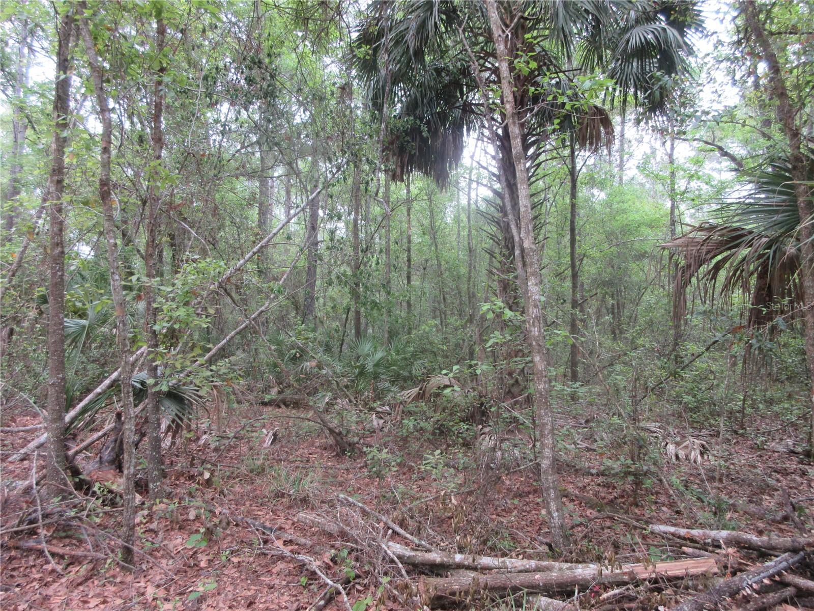 10055 E HIGHWAY 316, FORT MC COY, FL, 32134