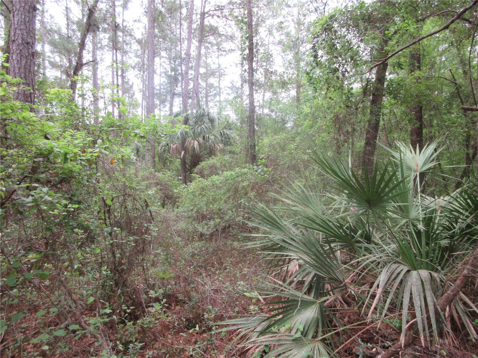 10055 E HIGHWAY 316, FORT MC COY, FL, 32134