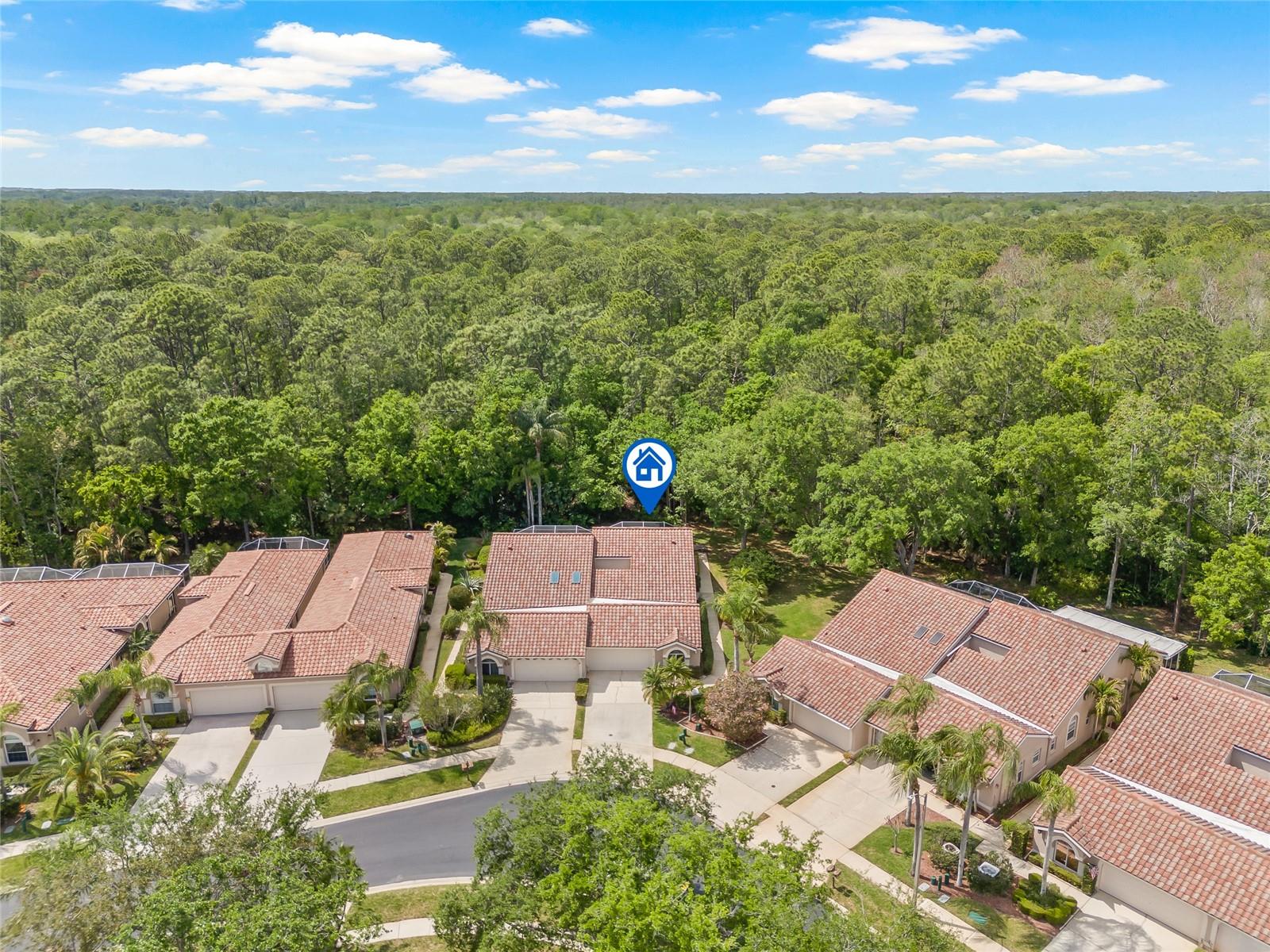 3810 DARSTON ST, PALM HARBOR, FL, 34685