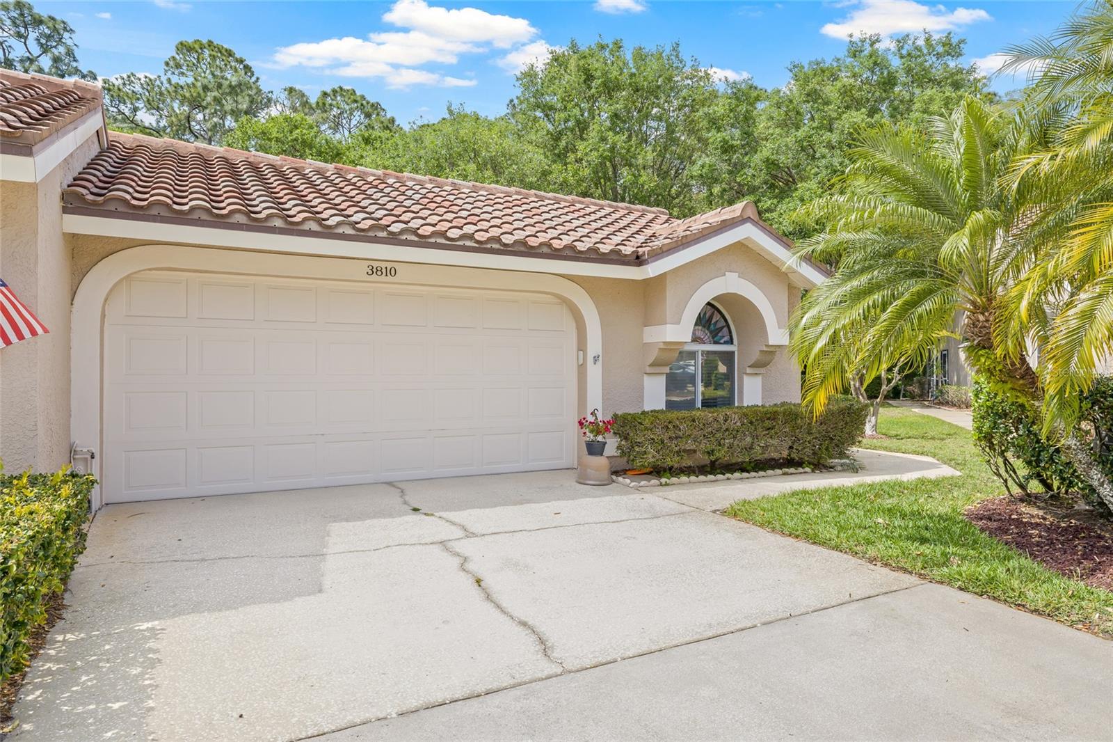 3810 DARSTON ST, PALM HARBOR, FL, 34685