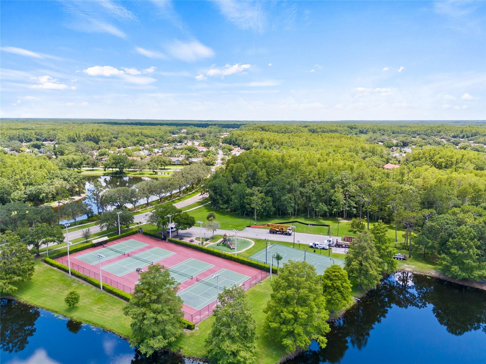 3810 DARSTON ST, PALM HARBOR, FL, 34685