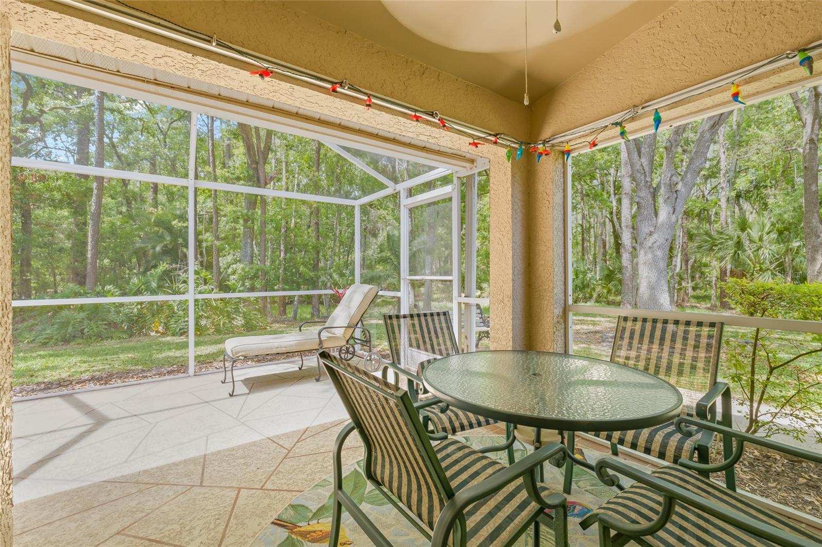 3810 DARSTON ST, PALM HARBOR, FL, 34685