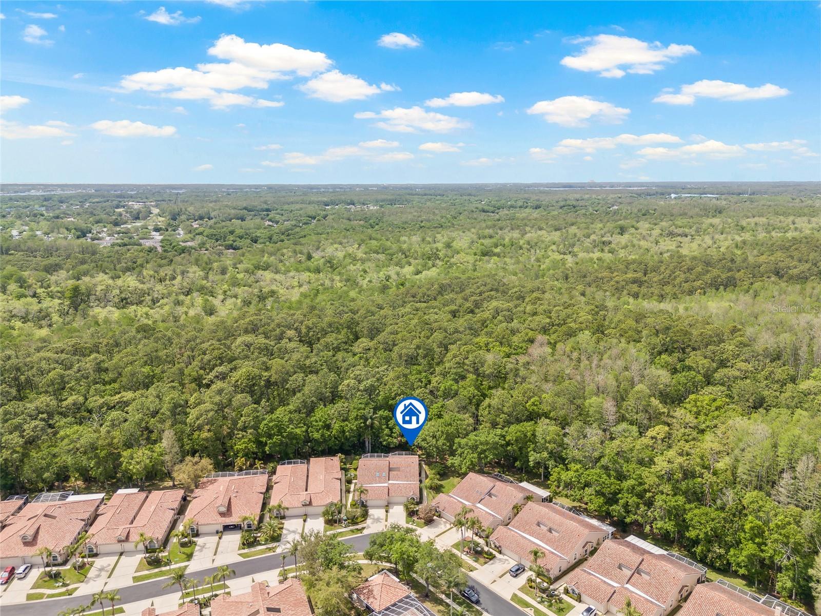 3810 DARSTON ST, PALM HARBOR, FL, 34685