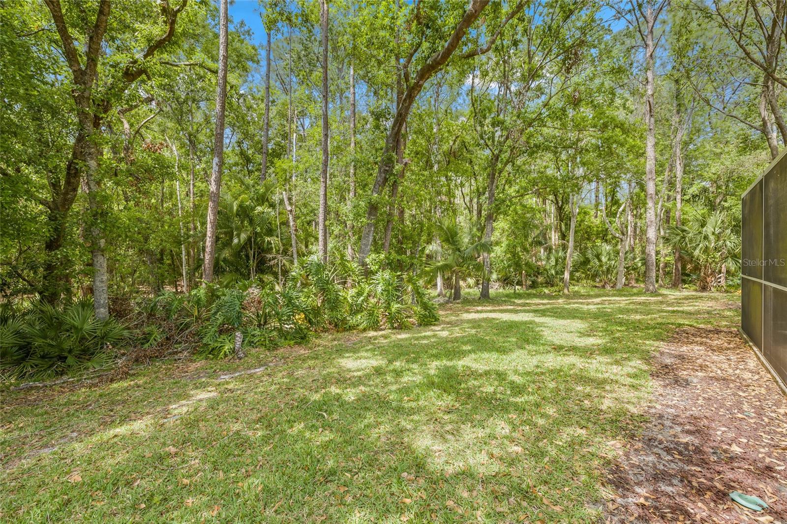3810 DARSTON ST, PALM HARBOR, FL, 34685