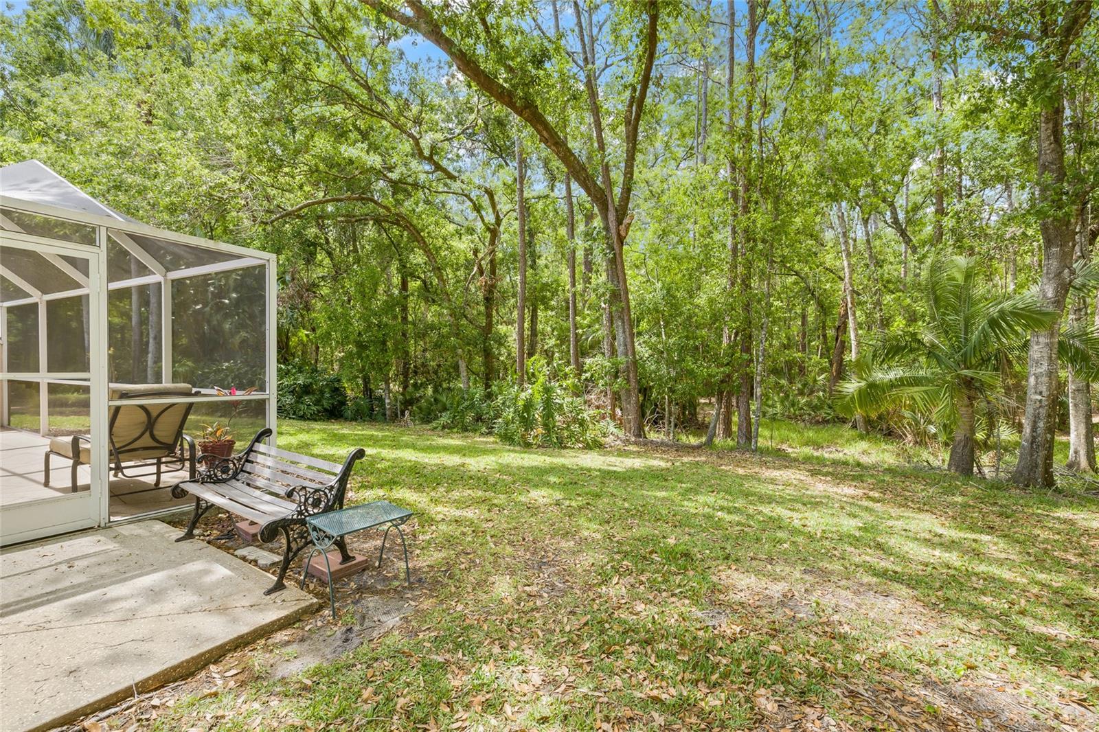 3810 DARSTON ST, PALM HARBOR, FL, 34685