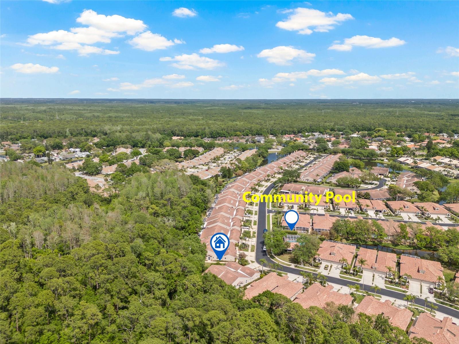 3810 DARSTON ST, PALM HARBOR, FL, 34685