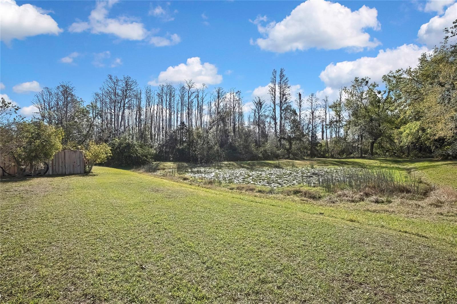 7740 BLUE SPRING DR, LAND O LAKES, FL, 34637