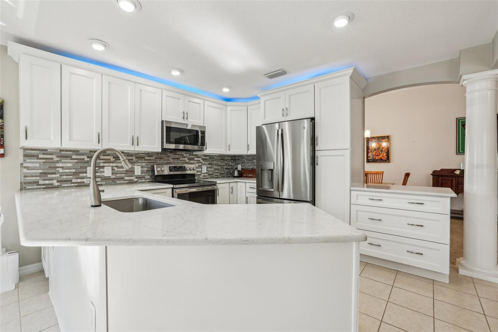 1309 CAROLINA CT, THE VILLAGES, FL, 32162