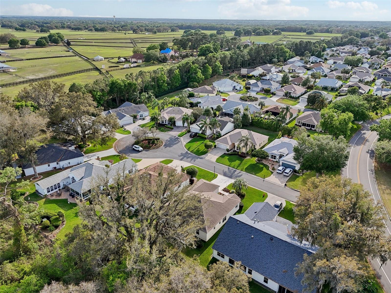1309 CAROLINA CT, THE VILLAGES, FL, 32162
