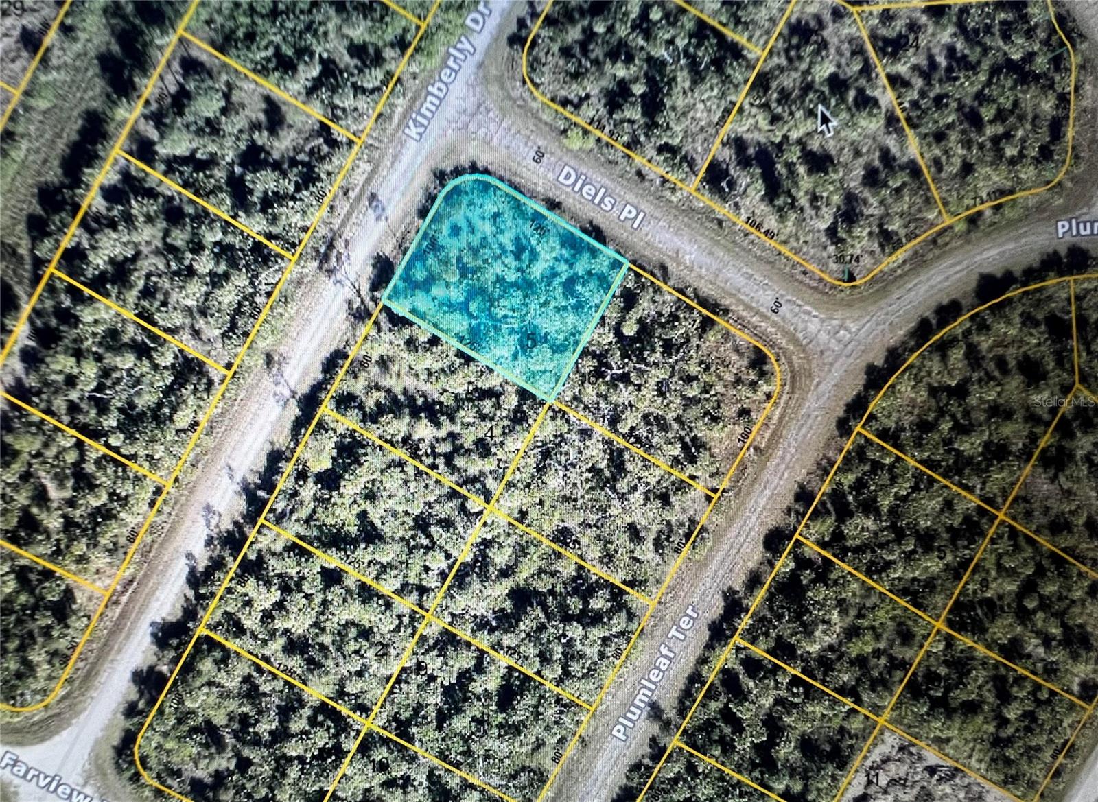 DIELS PL, NORTH PORT, FL, 34288