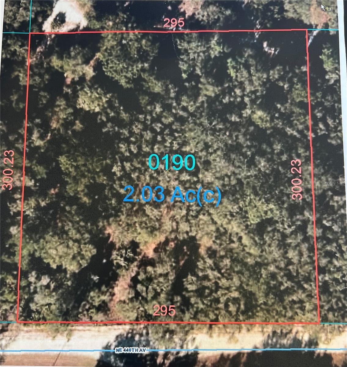 0000 NE 440 AVE, OLD TOWN, FL, 32680