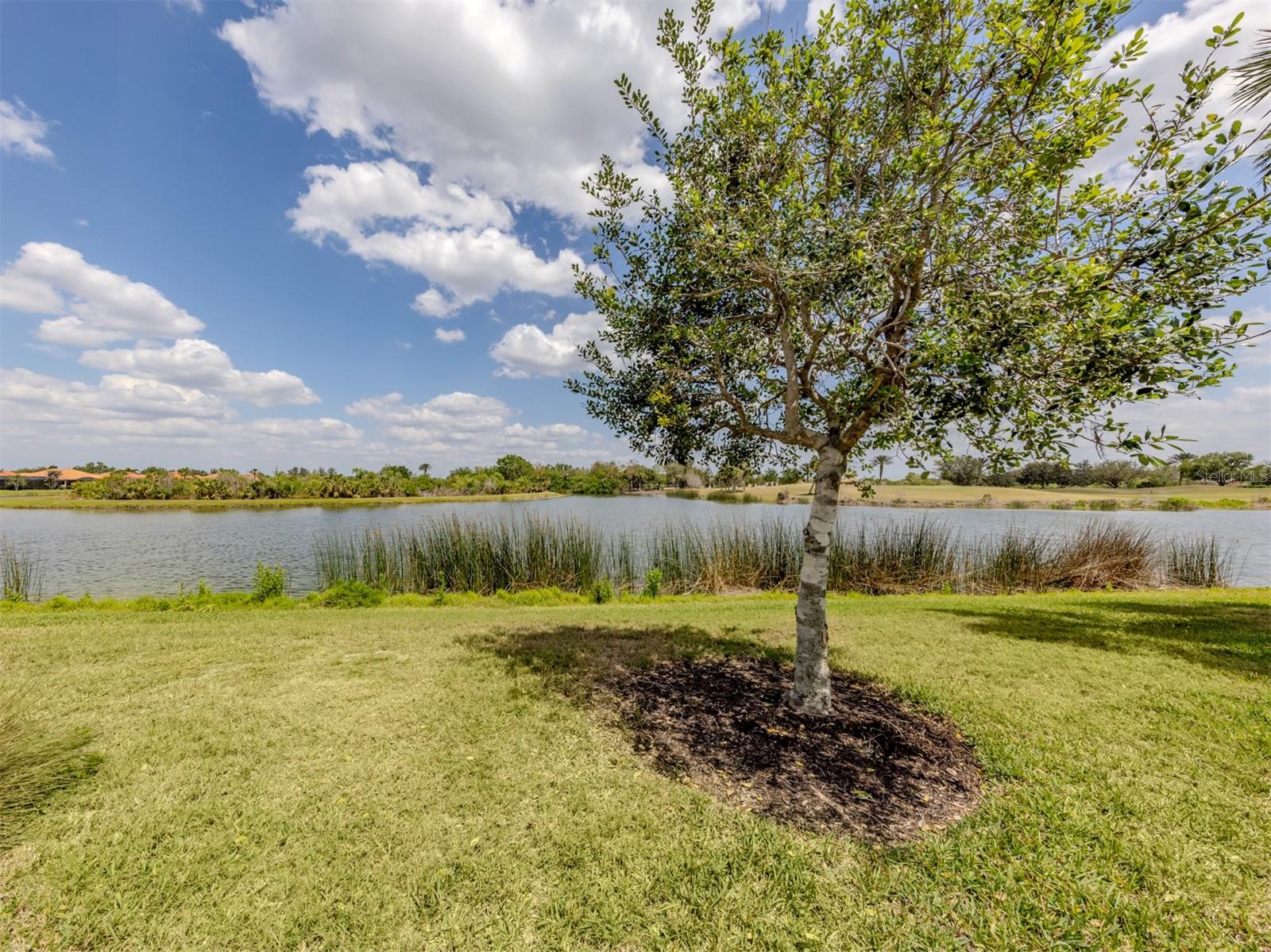 177 TREVISO CT, NORTH VENICE, FL, 34275