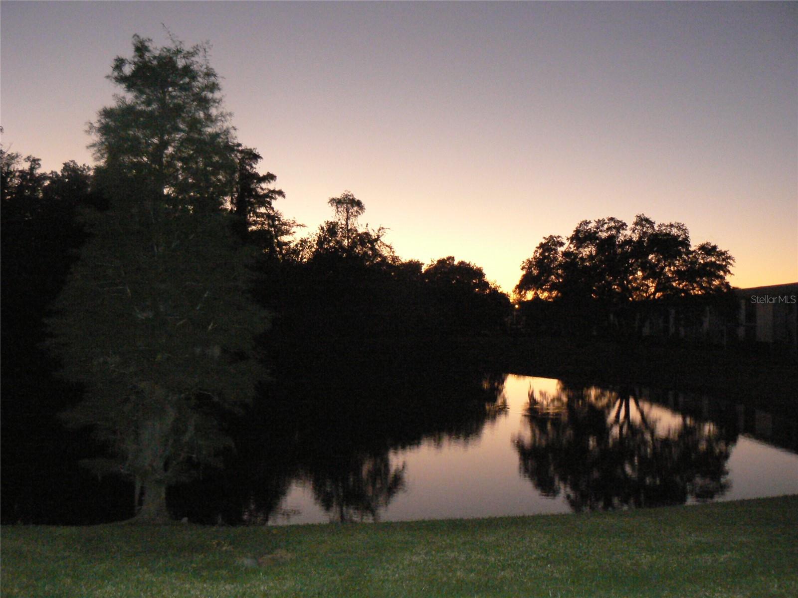 337 WOODLAKE WYNDE, OLDSMAR, FL, 34677