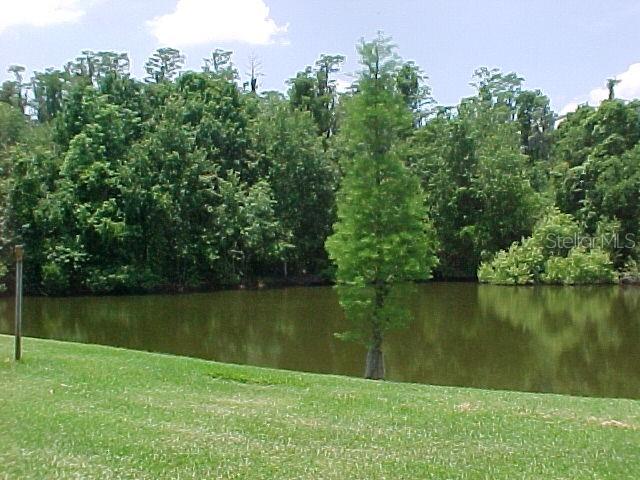 337 WOODLAKE WYNDE, OLDSMAR, FL, 34677