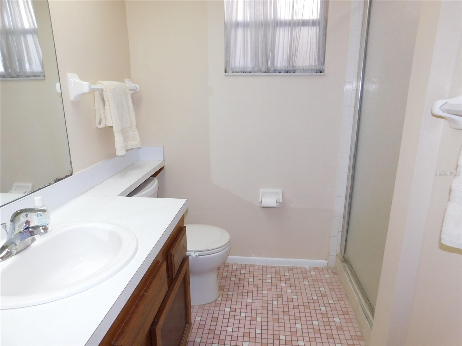 337 WOODLAKE WYNDE, OLDSMAR, FL, 34677