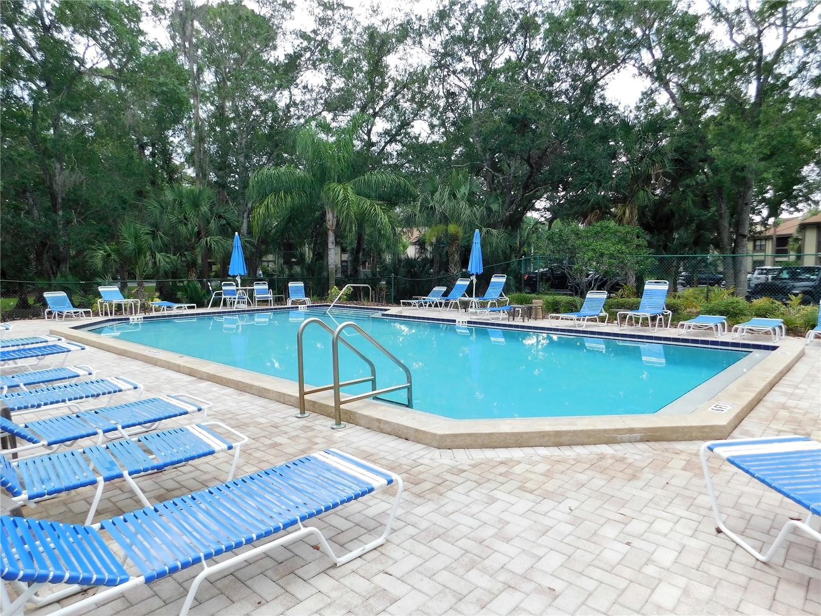 337 WOODLAKE WYNDE, OLDSMAR, FL, 34677