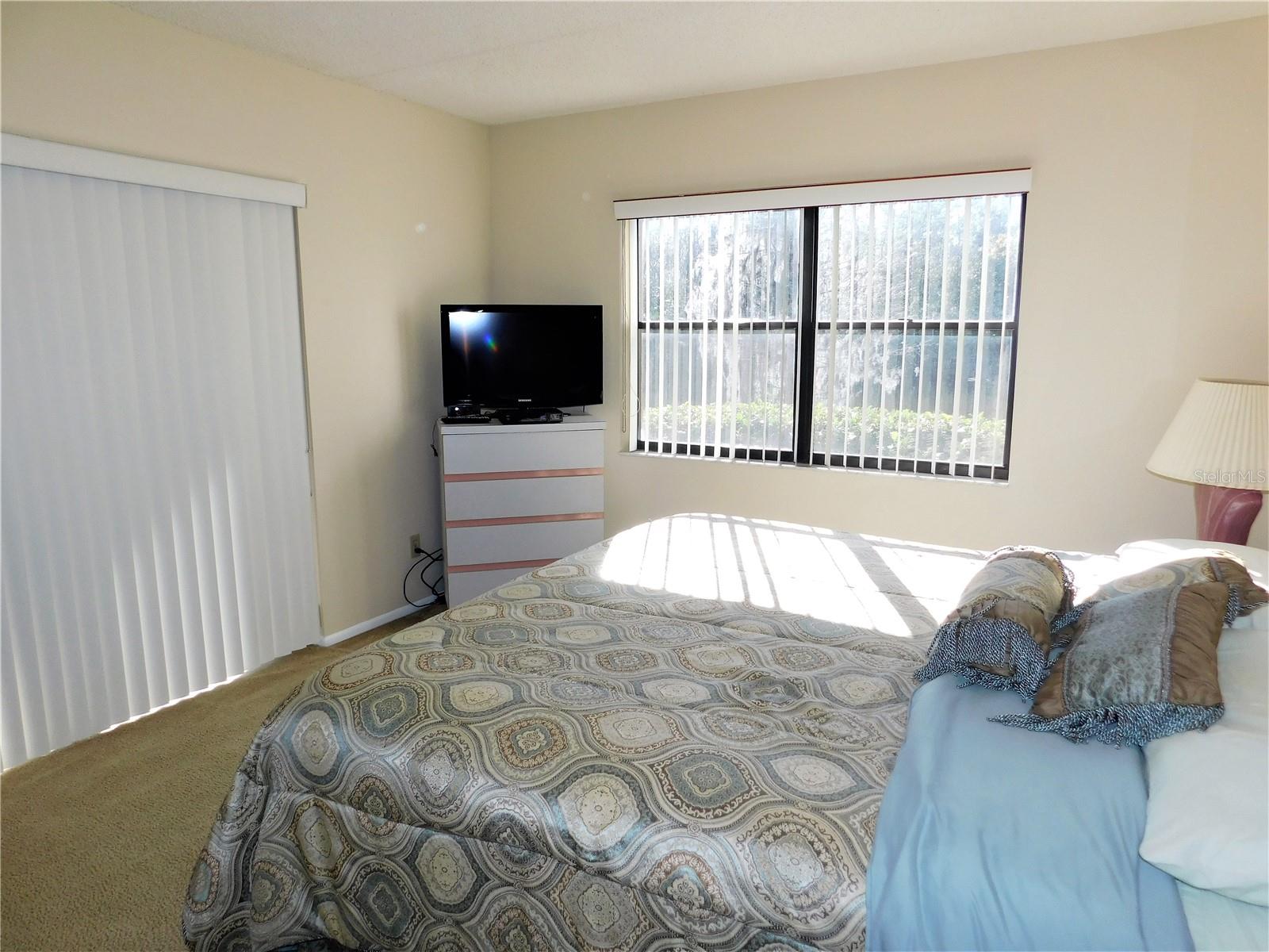 337 WOODLAKE WYNDE, OLDSMAR, FL, 34677