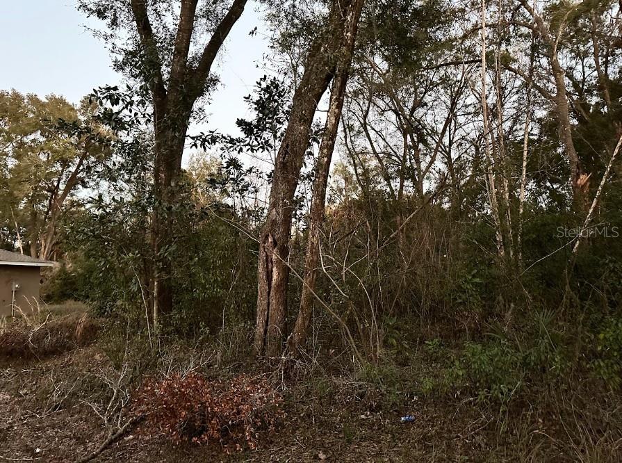 0 SE 34TH CT, BELLEVIEW, FL, 34420