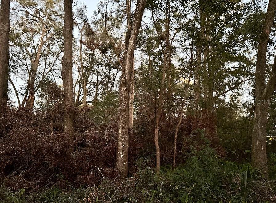 0 SE 34TH CT, BELLEVIEW, FL, 34420