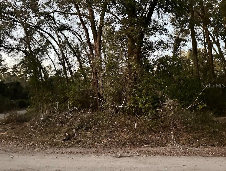 0 SE 34TH CT, BELLEVIEW, FL, 34420