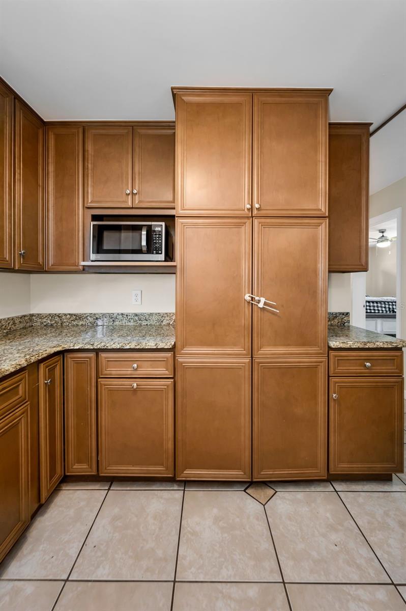 13970 MONTEGO DR, SEMINOLE, FL, 33776