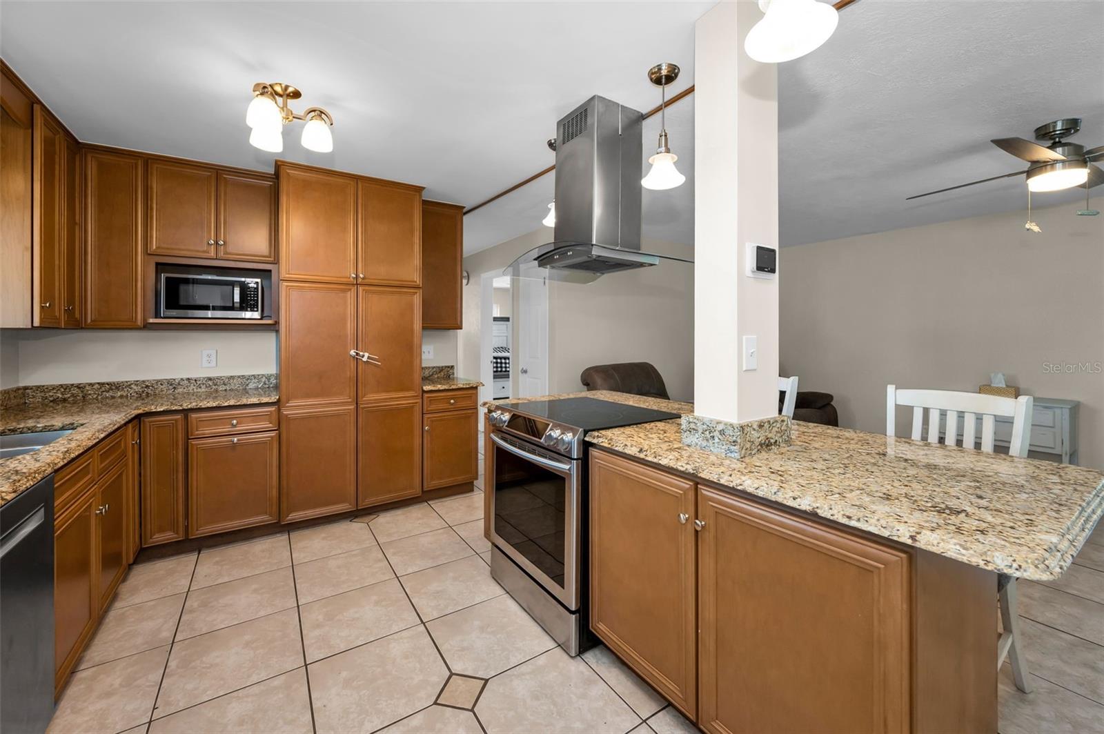 13970 MONTEGO DR, SEMINOLE, FL, 33776