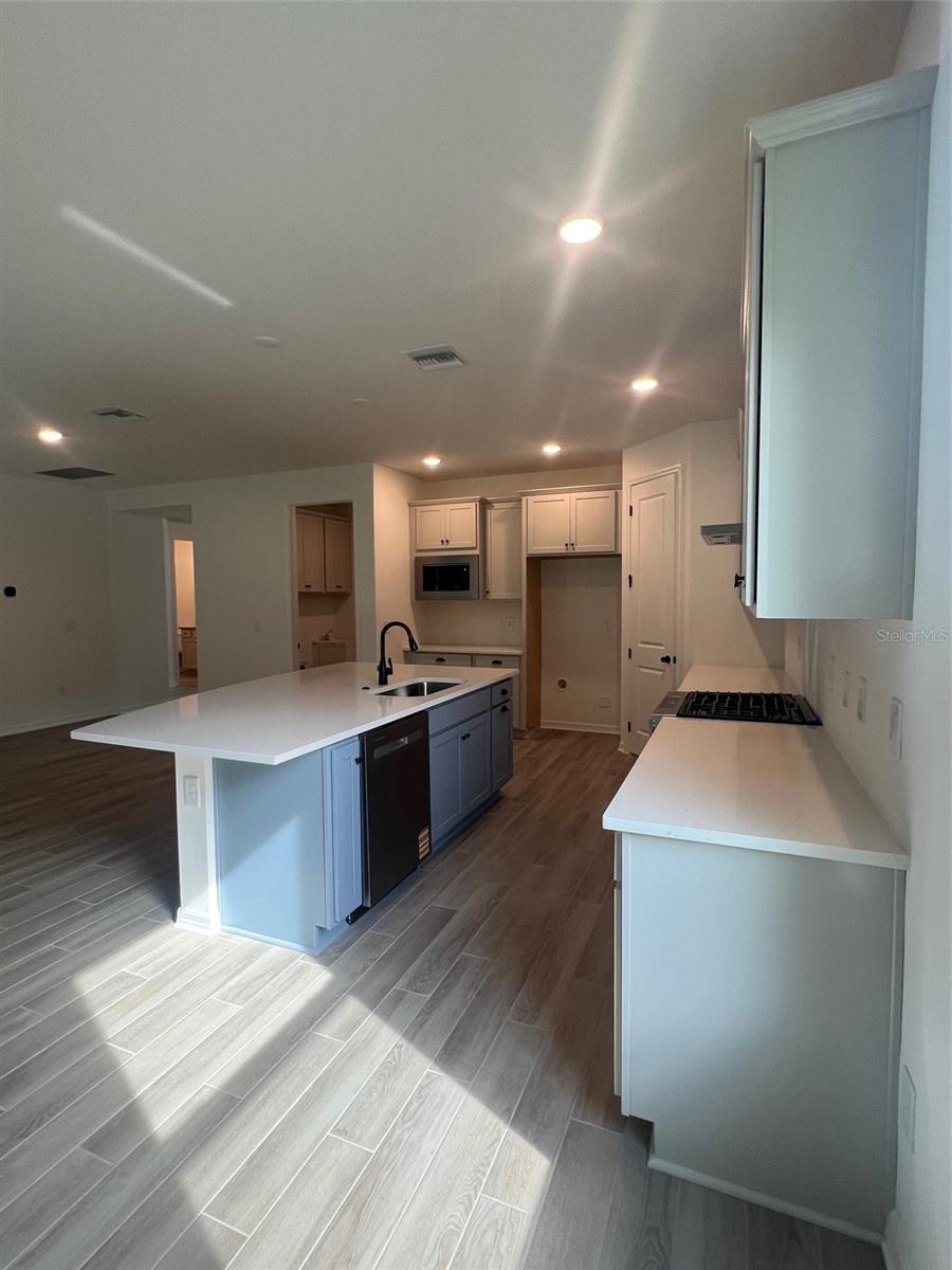 19575 FORT KING RUN, BROOKSVILLE, FL, 34601