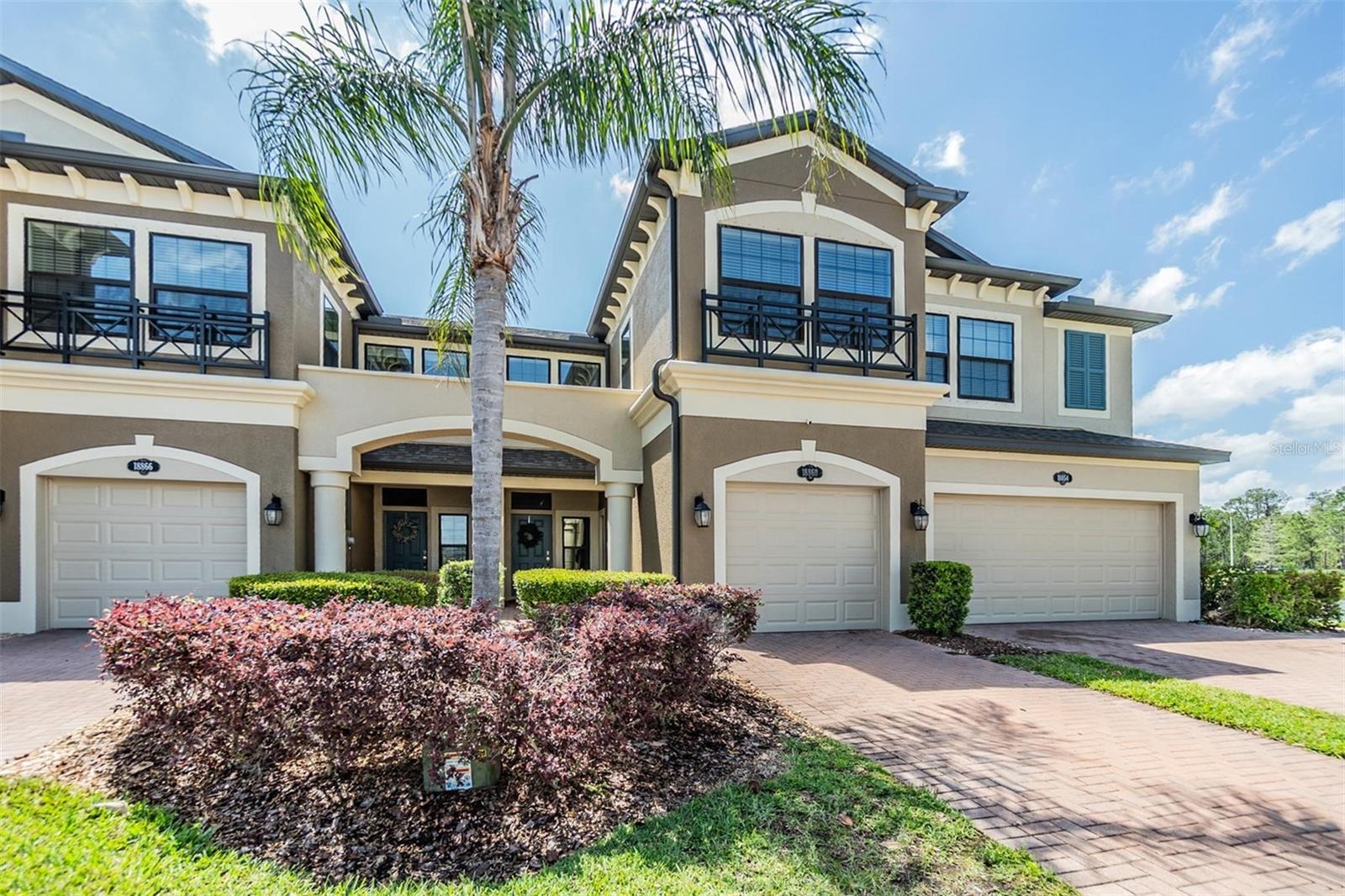 18860 BEAUTYBERRY CT, LUTZ, FL, 33558