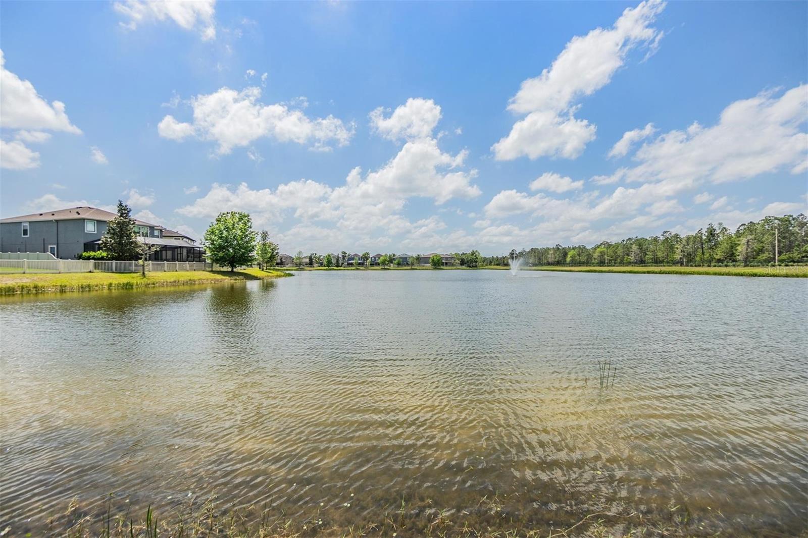 18860 BEAUTYBERRY CT, LUTZ, FL, 33558