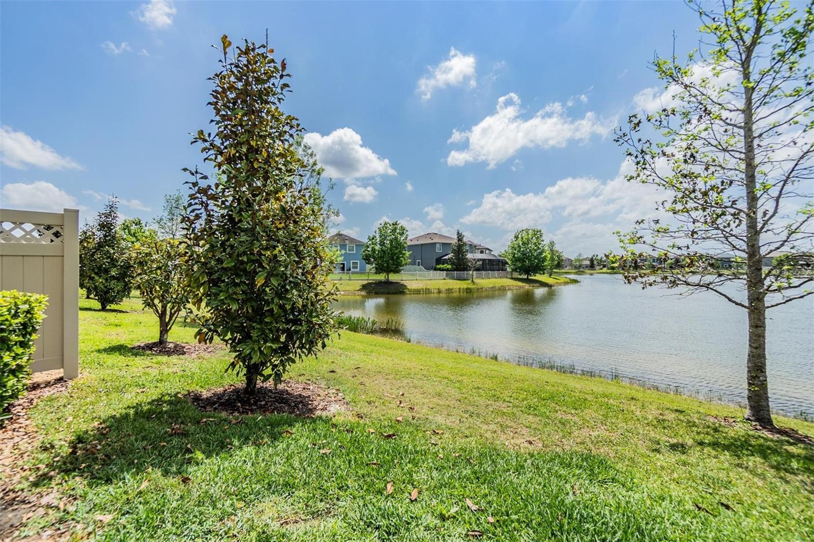 18860 BEAUTYBERRY CT, LUTZ, FL, 33558