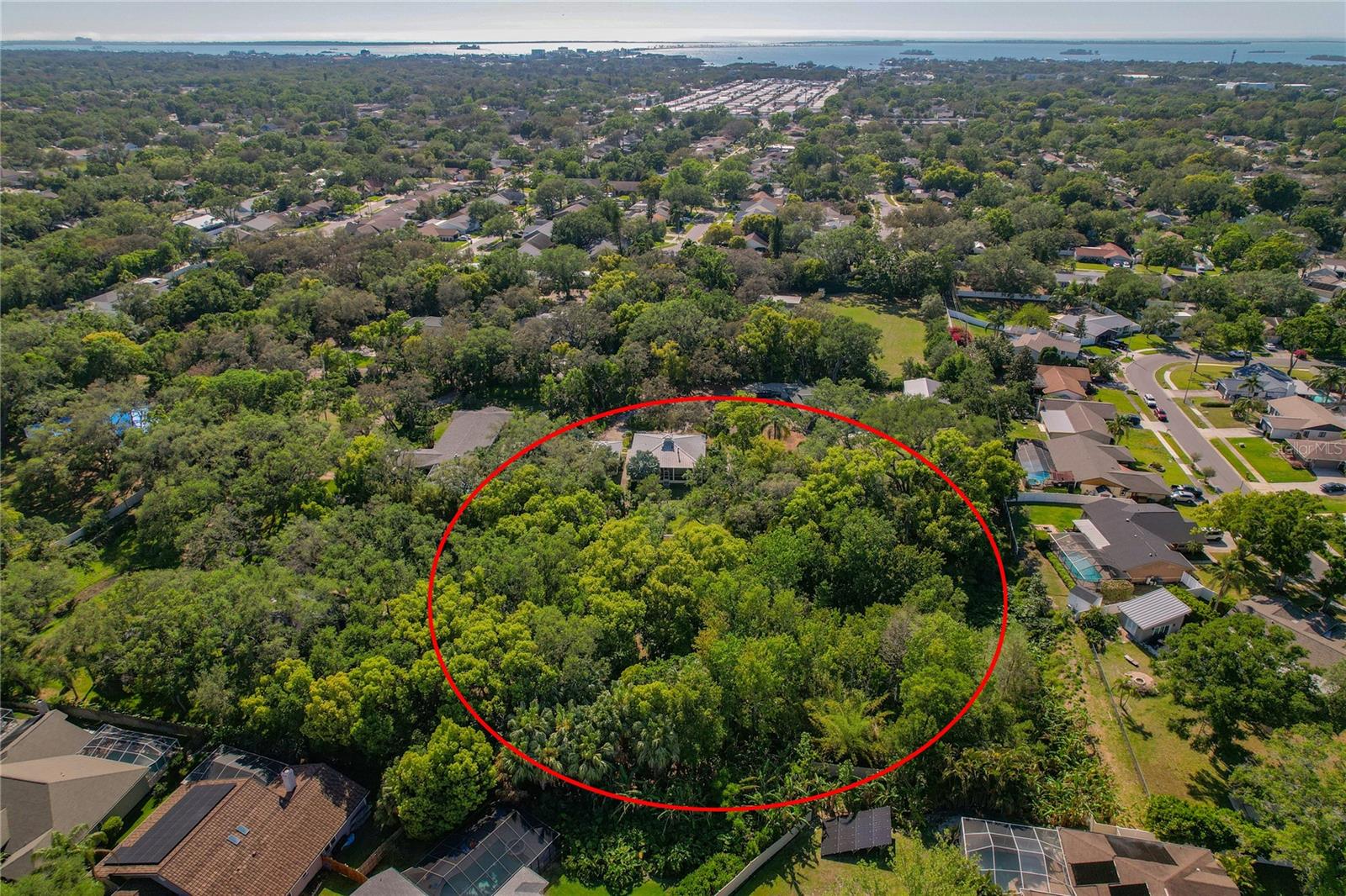 625 STILES LN, PALM HARBOR, FL, 34683