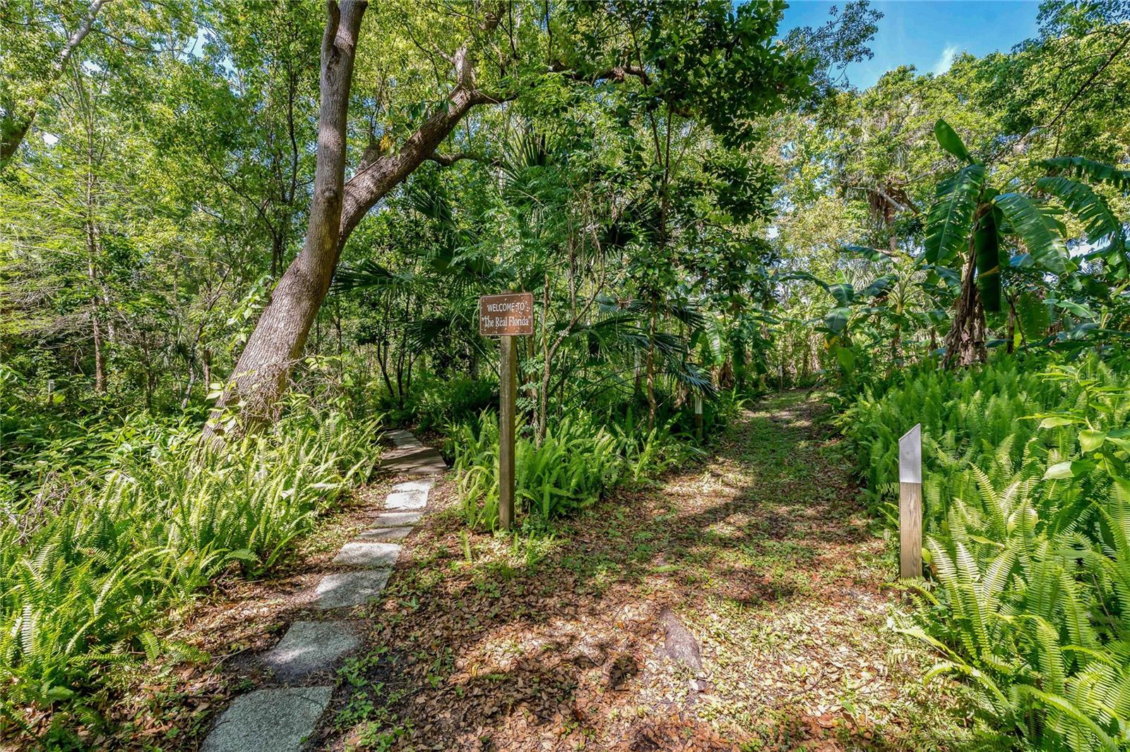 625 STILES LN, PALM HARBOR, FL, 34683